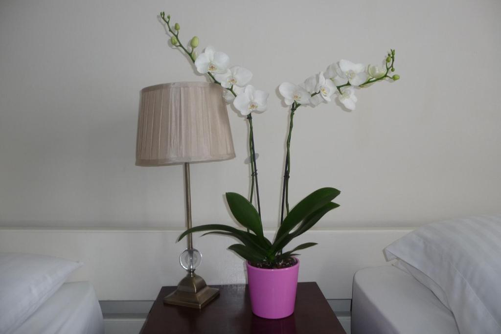 Killarney House Western Road Hotel Cork Room photo